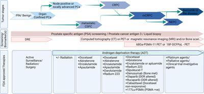 Editorial: Metastatic Castration Resistant Prostate Cancer: Prognosis and Treatment